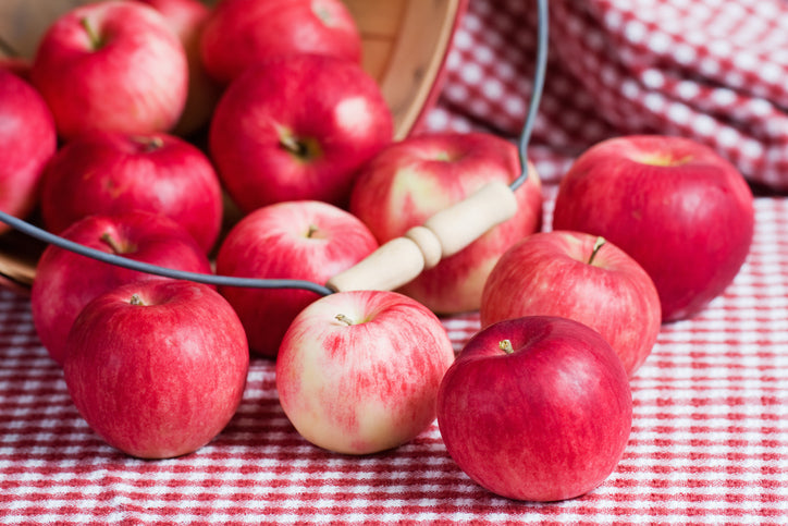 Non-alcoholic Apple Mead